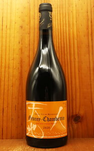 Gevrey-Chambertin 2006